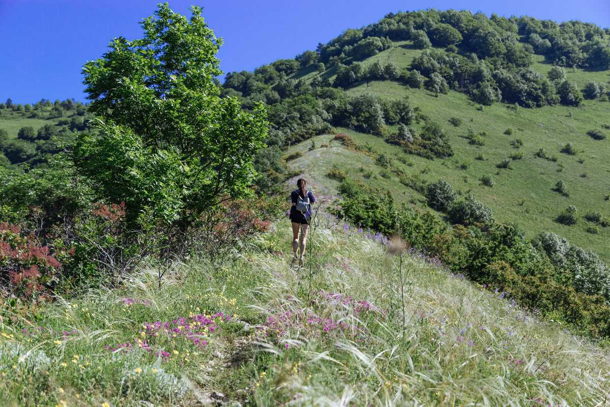 Escursione panoramica con vista sulla Riviera di Ulisse