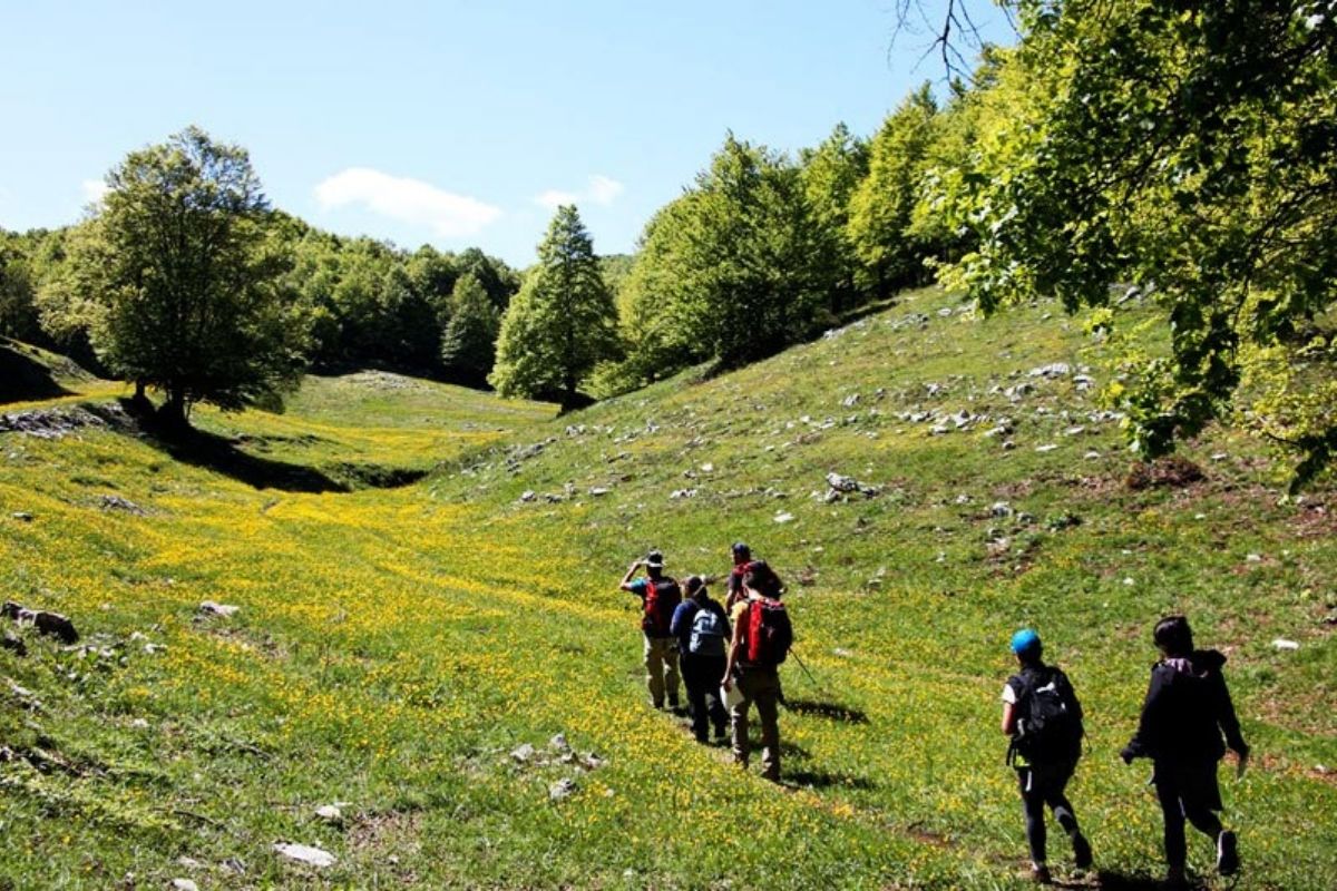 Escursione panoramica sul Monte Livata